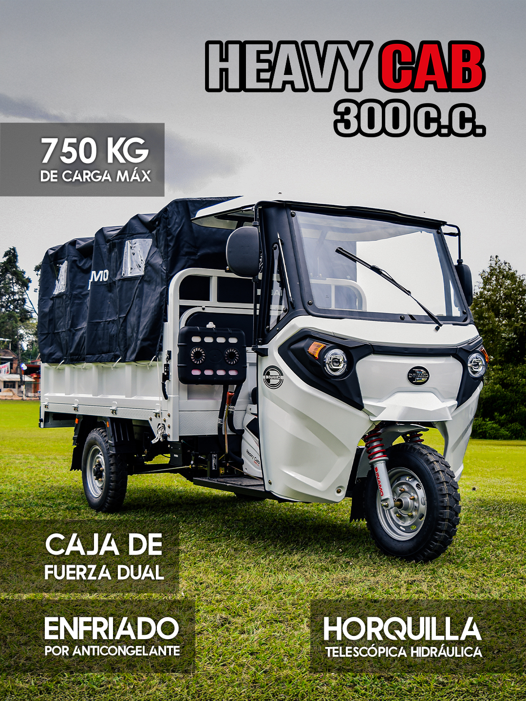 Heavy Cab 300 3